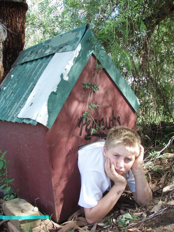 Kurrajong Trails y Cabañas Wheeny Creek Exterior foto