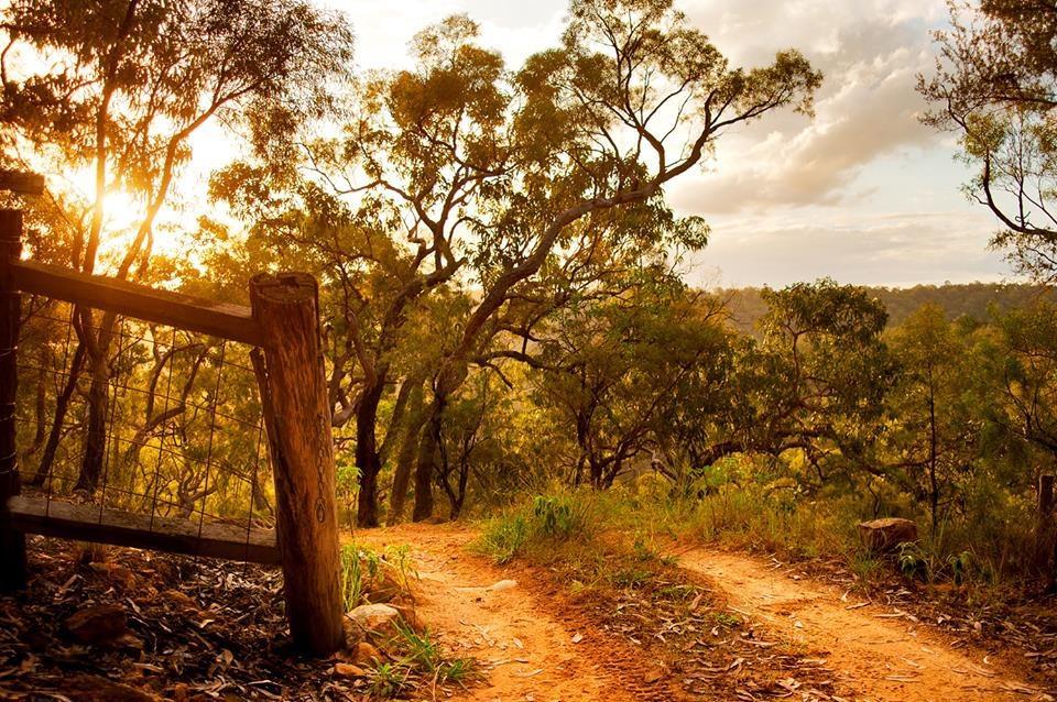 Kurrajong Trails y Cabañas Wheeny Creek Exterior foto